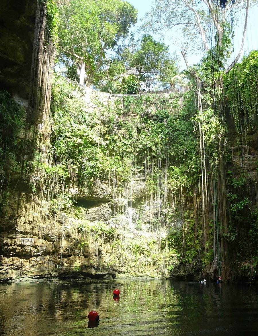 Cenote Ik Kil, Yucatán, con vegetación y raíces colgantes